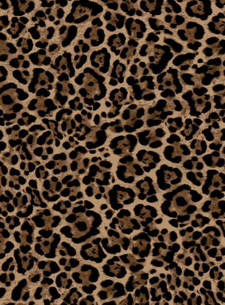 A250875-009DTP C3/CAMEL EXCLUSIVE PRINTS