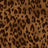 A250876-005DTP C3/RUST EXCLUSIVE PRINTS
