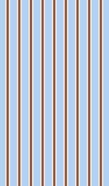 S250858-009DTP C2/BLUE/BROWN EXCLUSIVE PRINTS