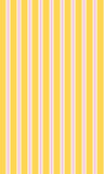 S250858-009DTP C3/YELLOW/PINK EXCLUSIVE PRINTS