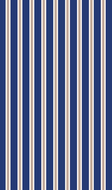 S250858-009DTP C4/NAVY/TAUPE EXCLUSIVE PRINTS