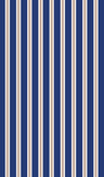 S250858-009DTP C4/NAVY/TAUPE EXCLUSIVE PRINTS