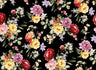 PH250001-014DTP 50%SMALL C#4 EXCLUSIVE PRINTS