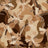 PH250030-014DTP C3/BROWN/TAUPE EXCLUSIVE PRINTS