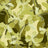 PH250030-014DTP C2/SAGE/LIME EXCLUSIVE PRINTS