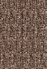 G250853-014DTP C1/AUBURN EXCLUSIVE PRINTS