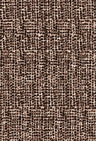 G250853-014DTP C1/AUBURN EXCLUSIVE PRINTS