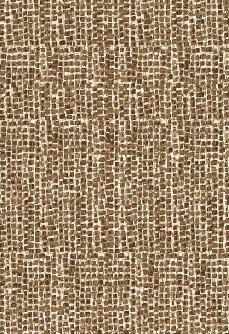 G250853-014DTP C4/DEER EXCLUSIVE PRINTS