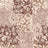 P250865-014DTP C4/MOCHA MULTI EXCLUSIVE PRINTS