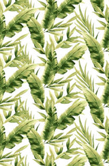 T250854-014DTP C1/GREEN/IVORY EXCLUSIVE PRINTS