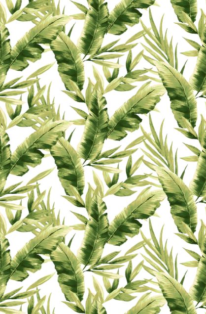 T250854-014DTP C1/GREEN/IVORY EXCLUSIVE PRINTS