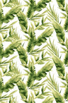 T250854-014DTP C1/GREEN/IVORY EXCLUSIVE PRINTS