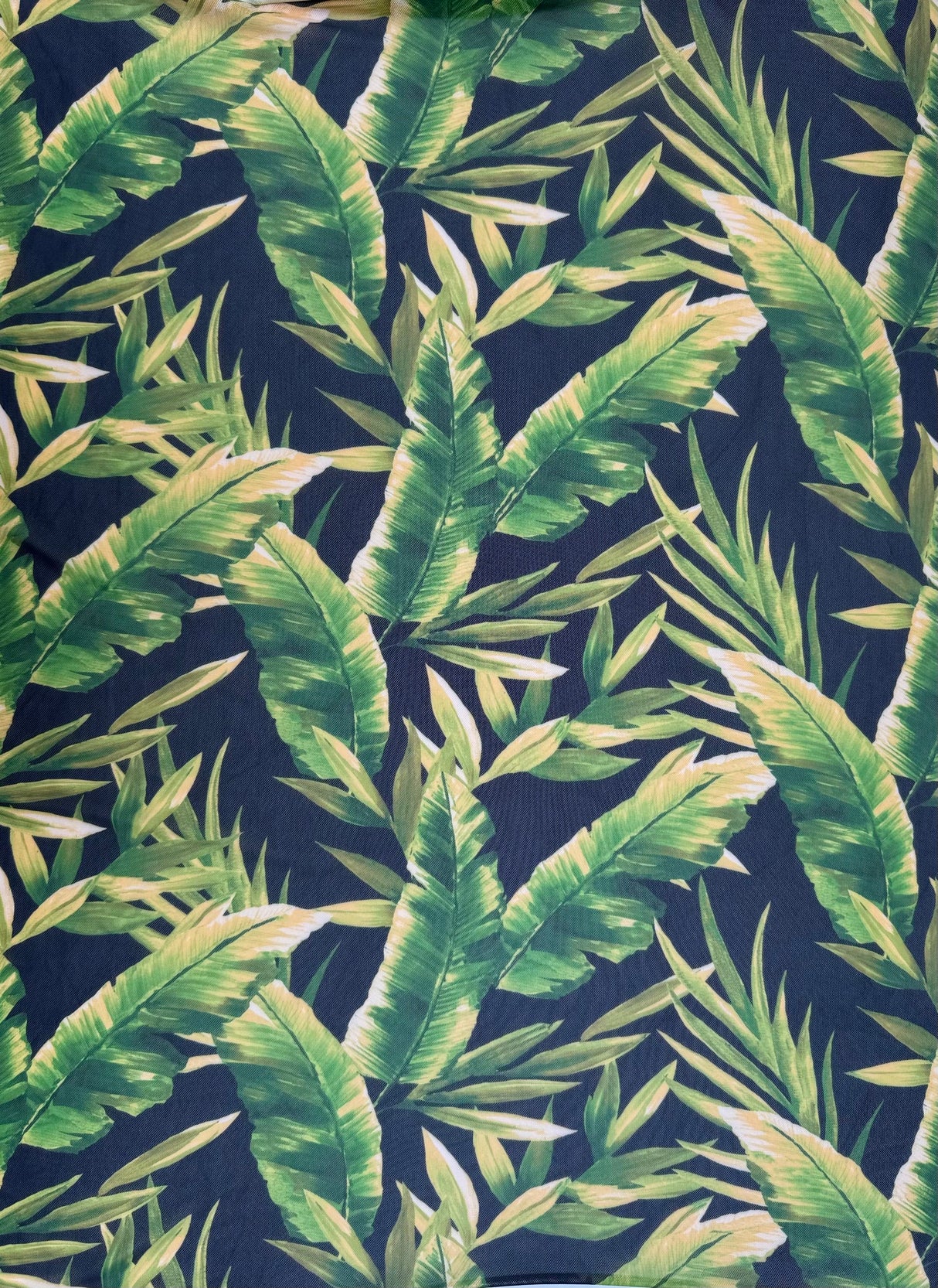 T250854-014DTP C5/GREEN/BLACK EXCLUSIVE PRINTS