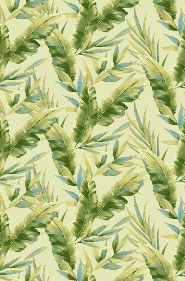 T250854-014DTP C6/GREEN/SAGE EXCLUSIVE PRINTS
