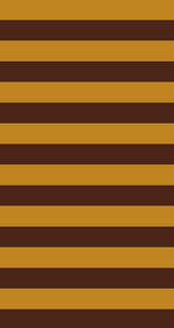S250872-026DTP C4/BROWN/SIENNA EXCLUSIVE PRINTS