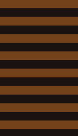 S250872-026DTP C5/BLACK/SIENNA EXCLUSIVE PRINTS