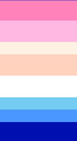 S250871-026DTP C2/PINK/BLUE EXCLUSIVE PRINTS