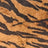 A241131C-076DTP C10/BROWN[T1] EXCLUSIVE PRINTS