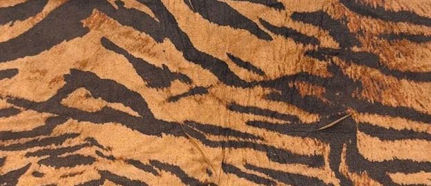 A241131C-076DTP C10/BROWN[T1] EXCLUSIVE PRINTS