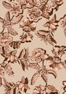 F250956-023DTP C2/BROWN COMBO EXCLUSIVE PRINTS