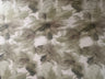 F250846-005DTP C20/OLIVE LT EXCLUSIVE PRINTS