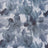 F250846-005DTP C21/BLUE STEEL EXCLUSIVE PRINTS