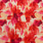 F250846-005DTP C4/HOTPINK/YLW EXCLUSIVE PRINTS