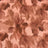 F250846-005DTP C6/BROWN EXCLUSIVE PRINTS