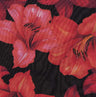 F250631B-005DTP C1/BLACK/RED EXCLUSIVE PRINTS
