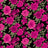 F250830B-005DTP C12/BLK/FUCHSIA EXCLUSIVE PRINTS