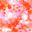 F250851-005DTP ORANGE EXCLUSIVE PRINTS