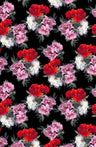 F250347-005DTP BLK/RED/PINK EXCLUSIVE PRINTS