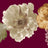 F250805-005DTP C3/WINE/MAUVE EXCLUSIVE PRINTS