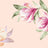 F251004-005DTP C4/BLUSH EXCLUSIVE PRINTS