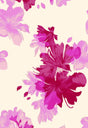 F250969-005DTP C1/HIBISCUS EXCLUSIVE PRINTS