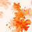 F250969-005DTP C2/ORANGE EXCLUSIVE PRINTS