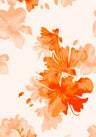 F250969-005DTP C2/ORANGE EXCLUSIVE PRINTS