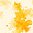 F250969-005DTP C3/YELLOW EXCLUSIVE PRINTS