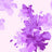 F250969-005DTP C4/PURPLE EXCLUSIVE PRINTS