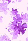 F250969-005DTP C4/PURPLE EXCLUSIVE PRINTS