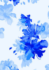 F250969-005DTP C5/BLUE EXCLUSIVE PRINTS