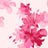 F250969-005DTP C6/HOT PINK EXCLUSIVE PRINTS