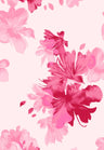 F250969-005DTP C6/HOT PINK EXCLUSIVE PRINTS
