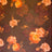 F250968-005DTP C2/BROWN EXCLUSIVE PRINTS
