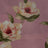 F250966-005DTP C2/ROSE EXCLUSIVE PRINTS