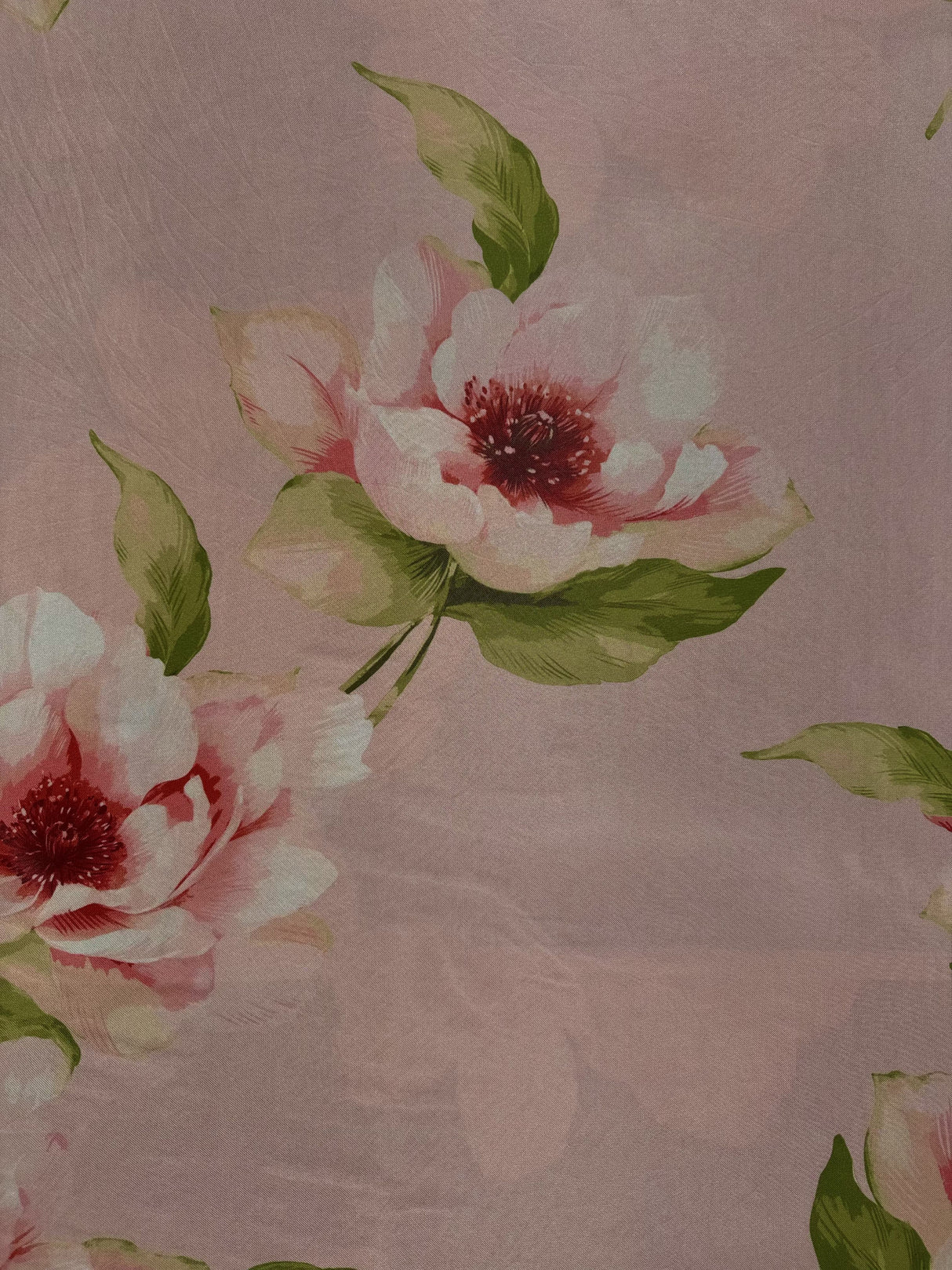 F250966-005DTP C3/BLUSH EXCLUSIVE PRINTS