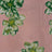 F250962-005DTP C2/PEACH/GREEN EXCLUSIVE PRINTS