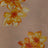 F250962-005DTP C4/TAN/ORANGE EXCLUSIVE PRINTS