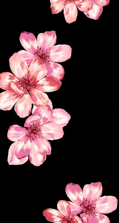 F250962-005DTP C5/BLK/PINK EXCLUSIVE PRINTS