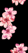 F250962-005DTP C5/BLK/PINK EXCLUSIVE PRINTS